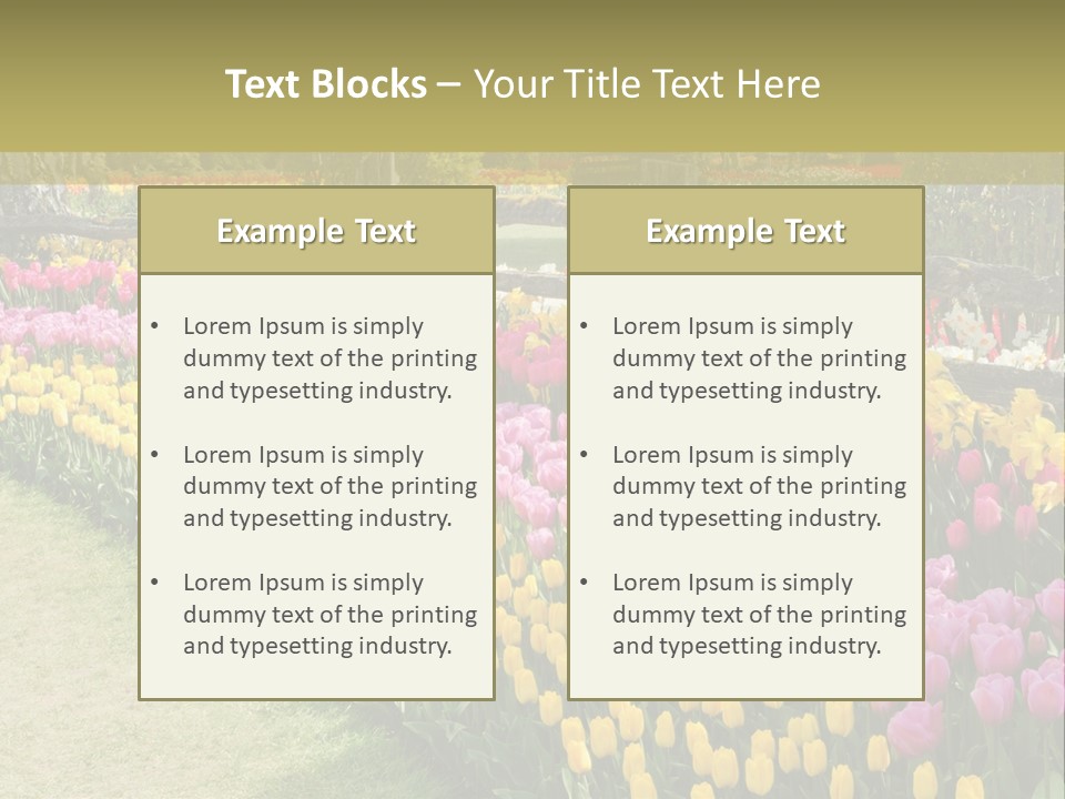 A Field Of Flowers With A Fence In The Background PowerPoint Template