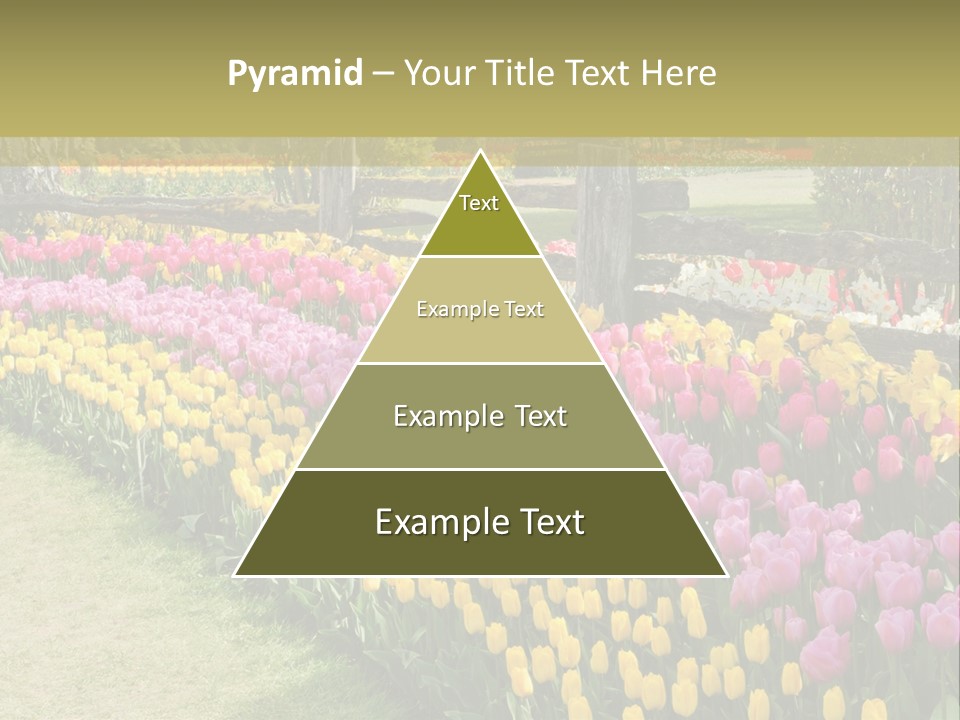 A Field Of Flowers With A Fence In The Background PowerPoint Template