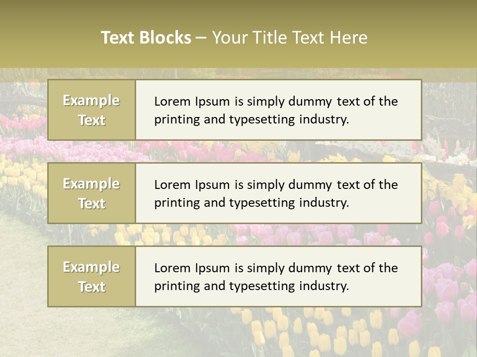 A Field Of Flowers With A Fence In The Background PowerPoint Template