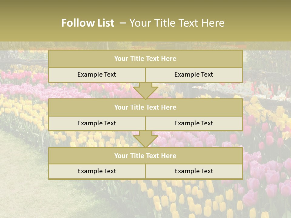 A Field Of Flowers With A Fence In The Background PowerPoint Template