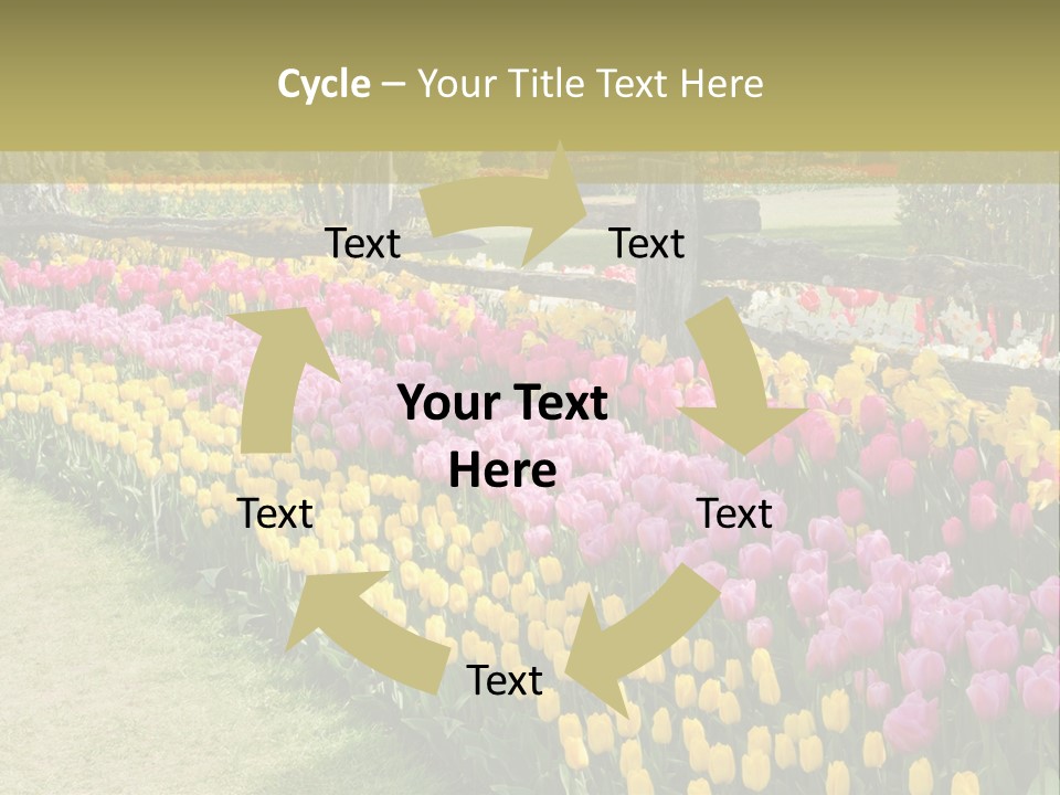 A Field Of Flowers With A Fence In The Background PowerPoint Template