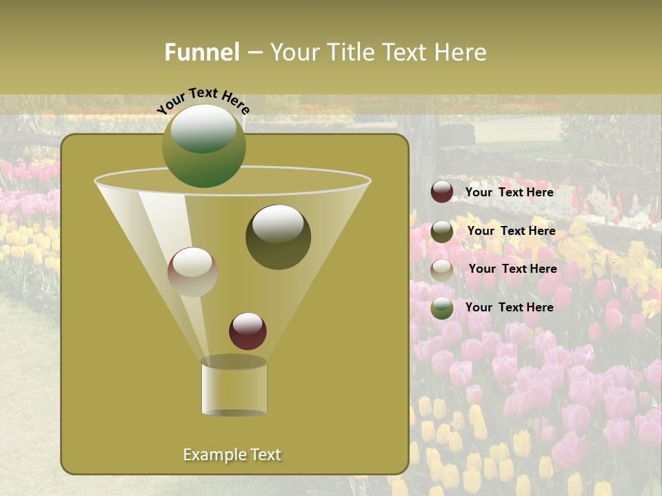 A Field Of Flowers With A Fence In The Background PowerPoint Template