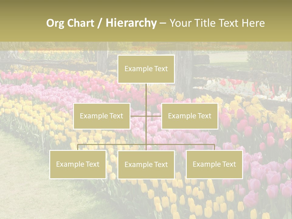 A Field Of Flowers With A Fence In The Background PowerPoint Template