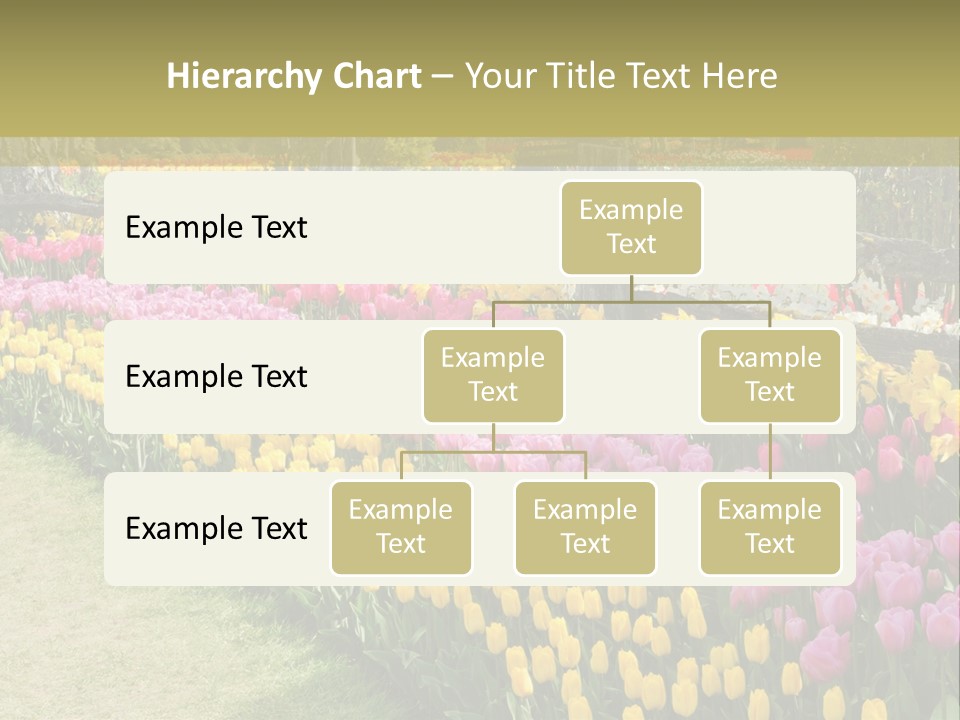A Field Of Flowers With A Fence In The Background PowerPoint Template