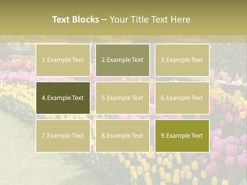 A Field Of Flowers With A Fence In The Background PowerPoint Template