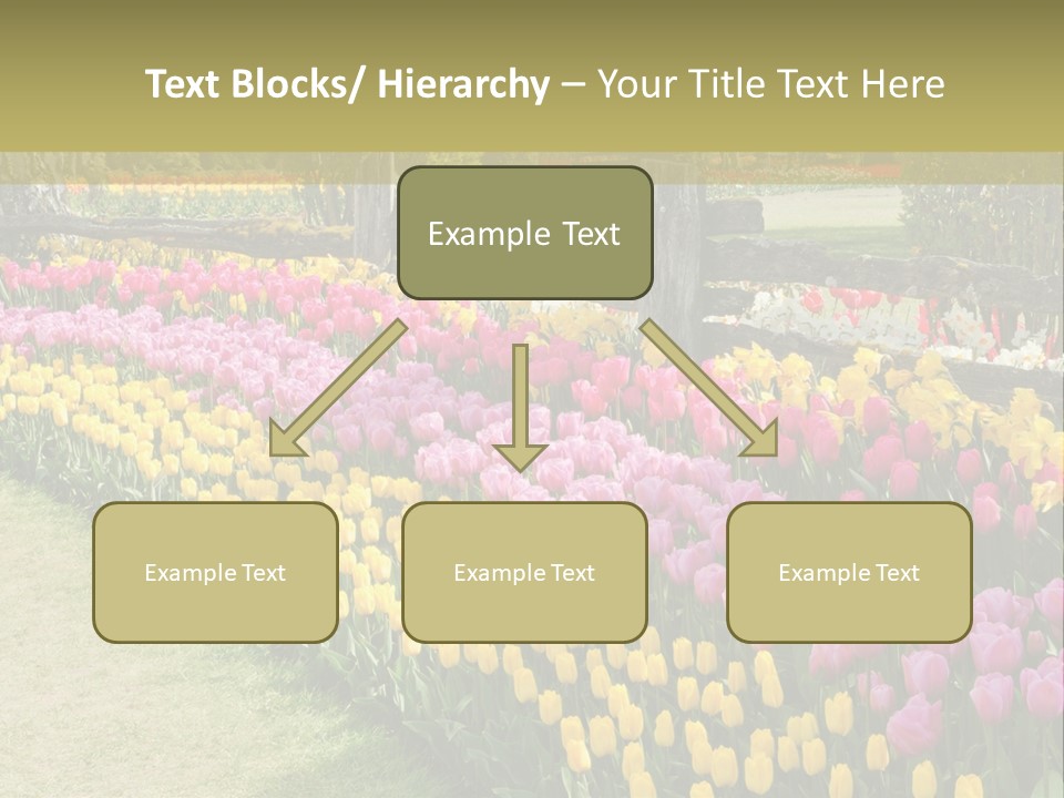 A Field Of Flowers With A Fence In The Background PowerPoint Template