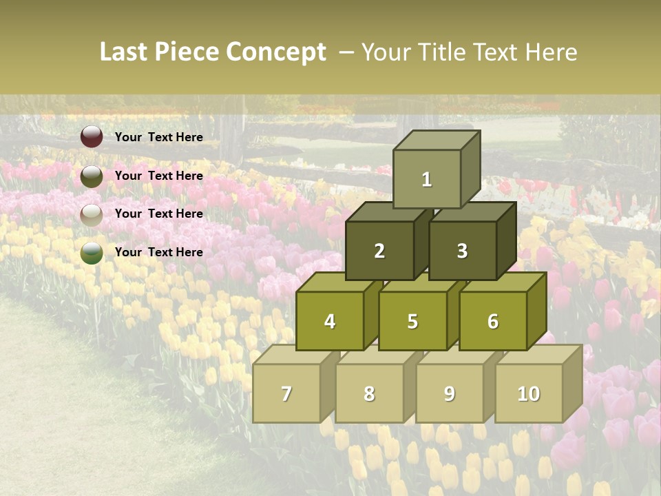 A Field Of Flowers With A Fence In The Background PowerPoint Template