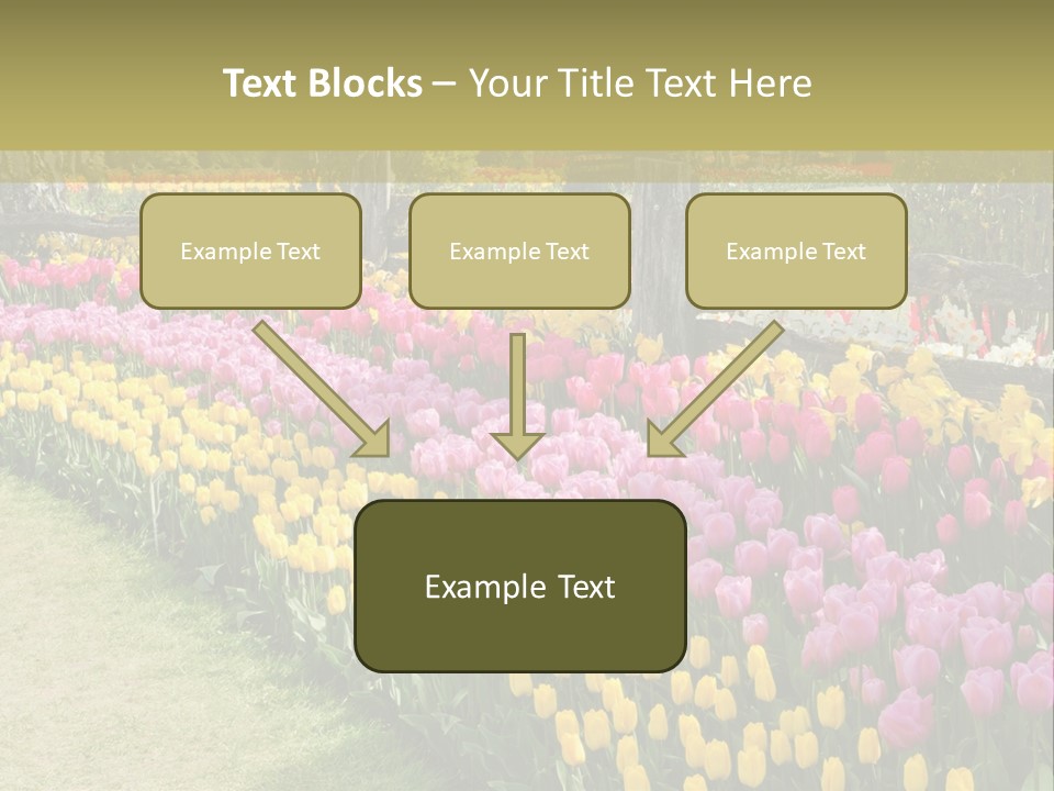 A Field Of Flowers With A Fence In The Background PowerPoint Template