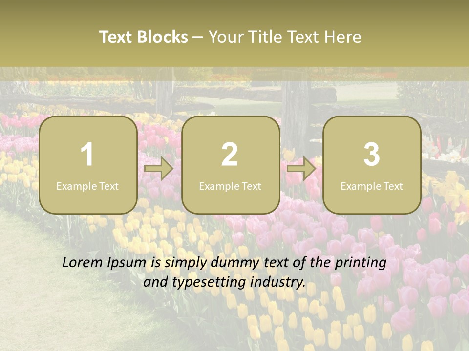 A Field Of Flowers With A Fence In The Background PowerPoint Template