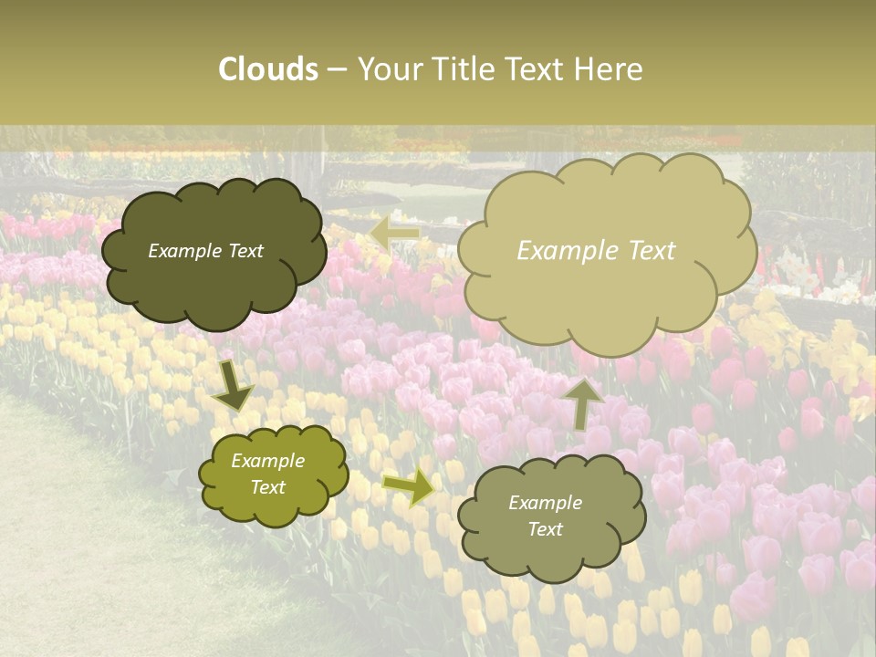 A Field Of Flowers With A Fence In The Background PowerPoint Template