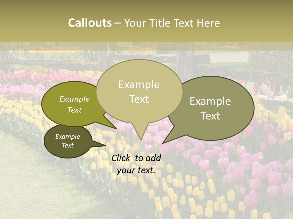 A Field Of Flowers With A Fence In The Background PowerPoint Template