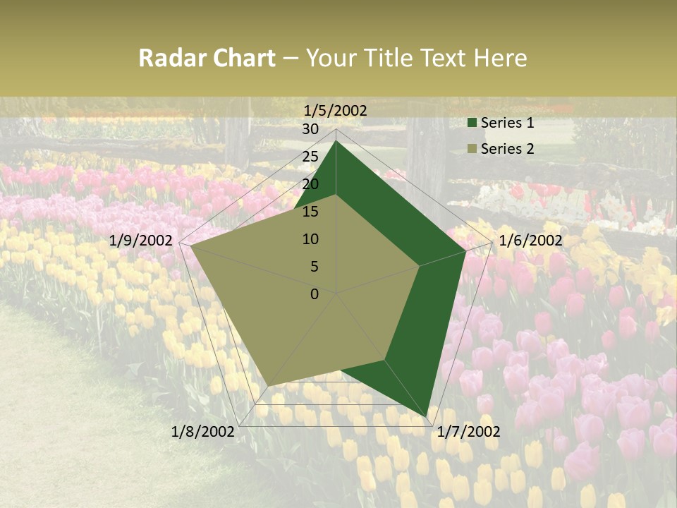 A Field Of Flowers With A Fence In The Background PowerPoint Template