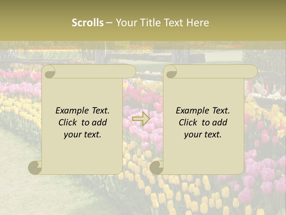 A Field Of Flowers With A Fence In The Background PowerPoint Template