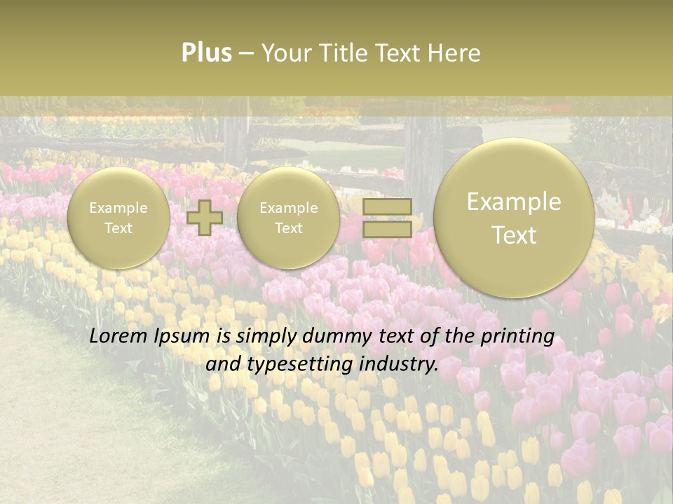 A Field Of Flowers With A Fence In The Background PowerPoint Template