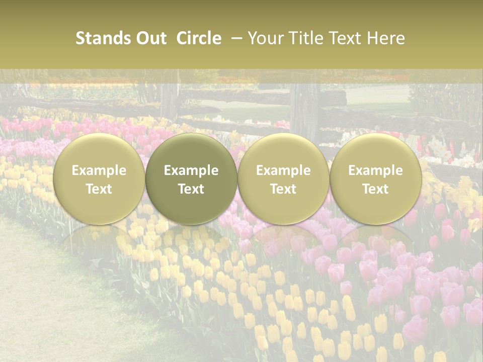 A Field Of Flowers With A Fence In The Background PowerPoint Template