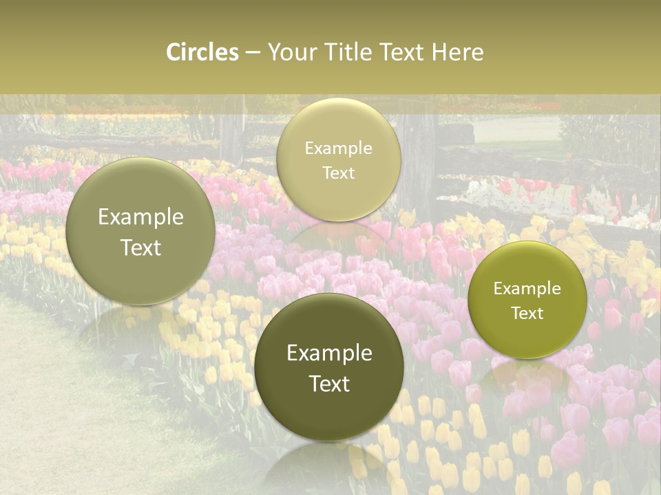 A Field Of Flowers With A Fence In The Background PowerPoint Template