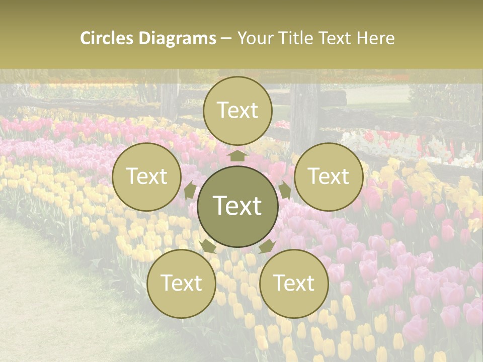 A Field Of Flowers With A Fence In The Background PowerPoint Template