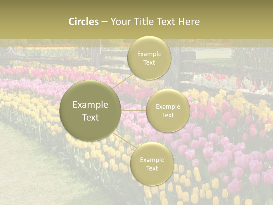 A Field Of Flowers With A Fence In The Background PowerPoint Template