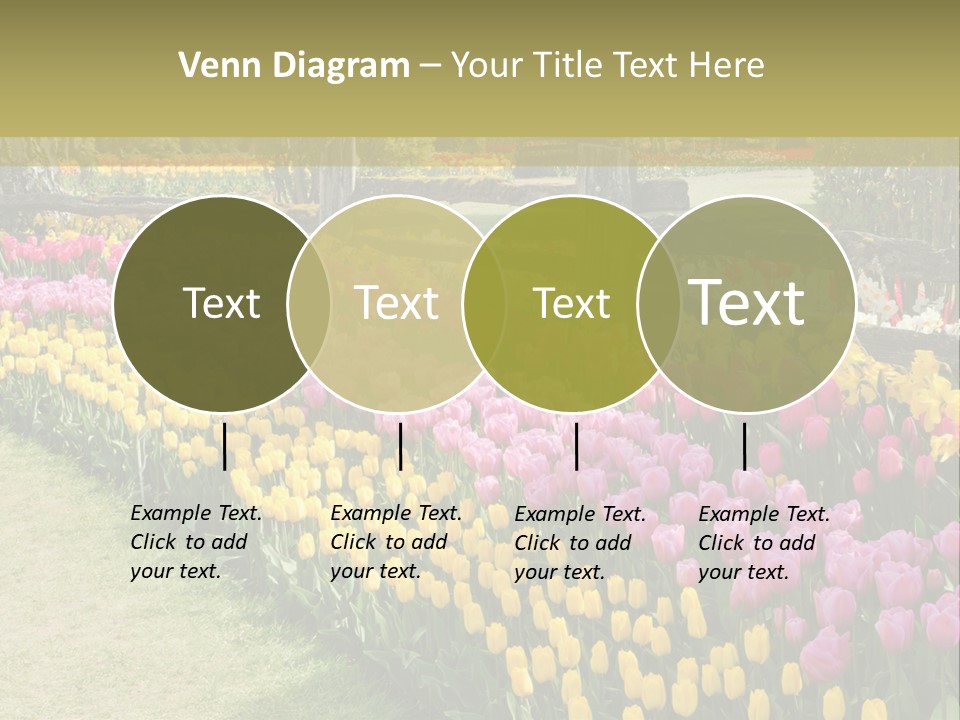 A Field Of Flowers With A Fence In The Background PowerPoint Template