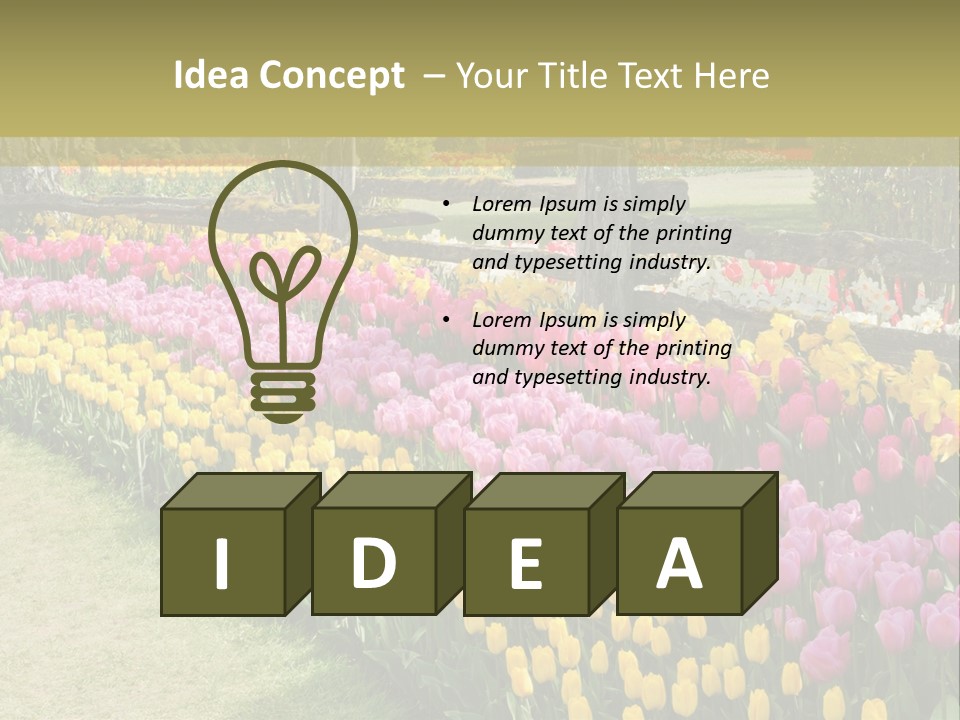 A Field Of Flowers With A Fence In The Background PowerPoint Template