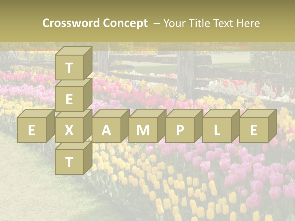 A Field Of Flowers With A Fence In The Background PowerPoint Template