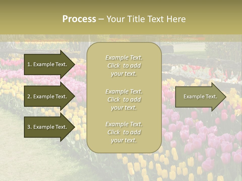 A Field Of Flowers With A Fence In The Background PowerPoint Template