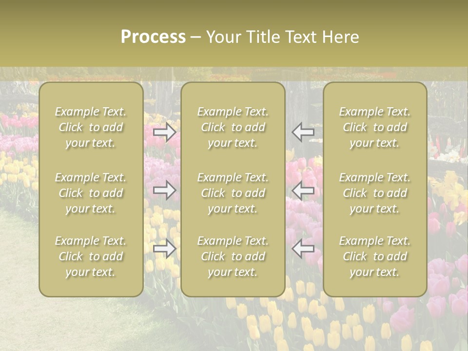 A Field Of Flowers With A Fence In The Background PowerPoint Template