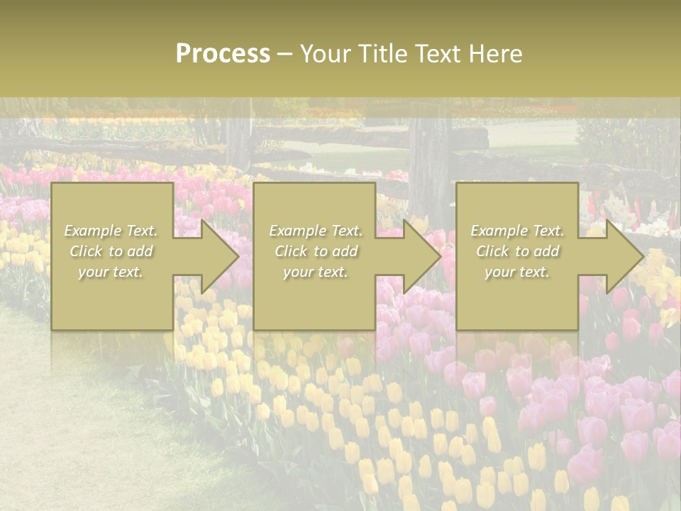 A Field Of Flowers With A Fence In The Background PowerPoint Template