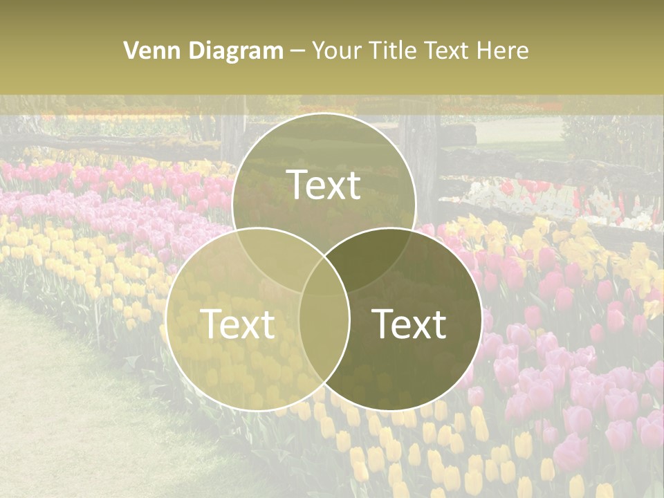 A Field Of Flowers With A Fence In The Background PowerPoint Template