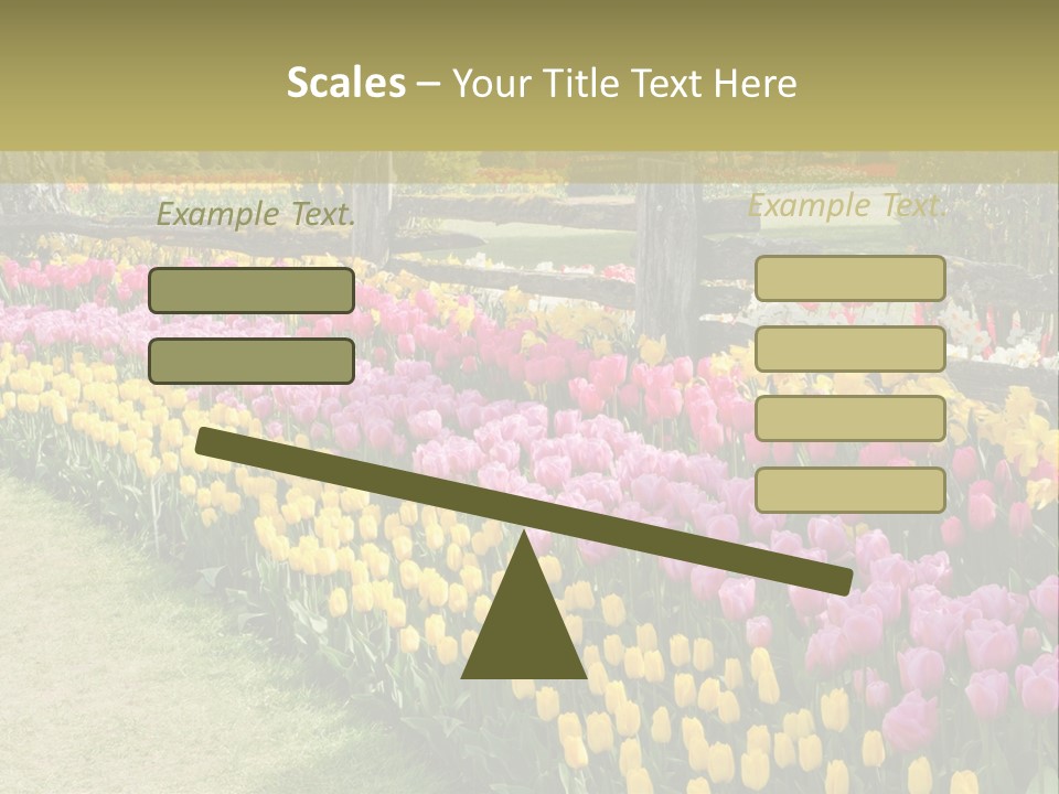 A Field Of Flowers With A Fence In The Background PowerPoint Template