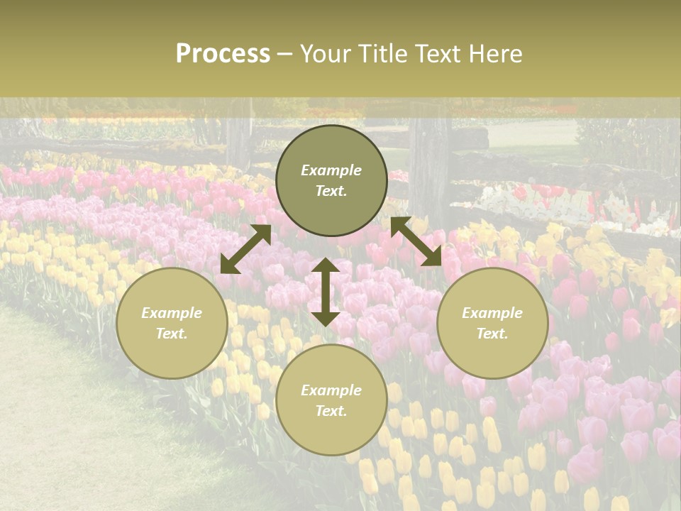 A Field Of Flowers With A Fence In The Background PowerPoint Template