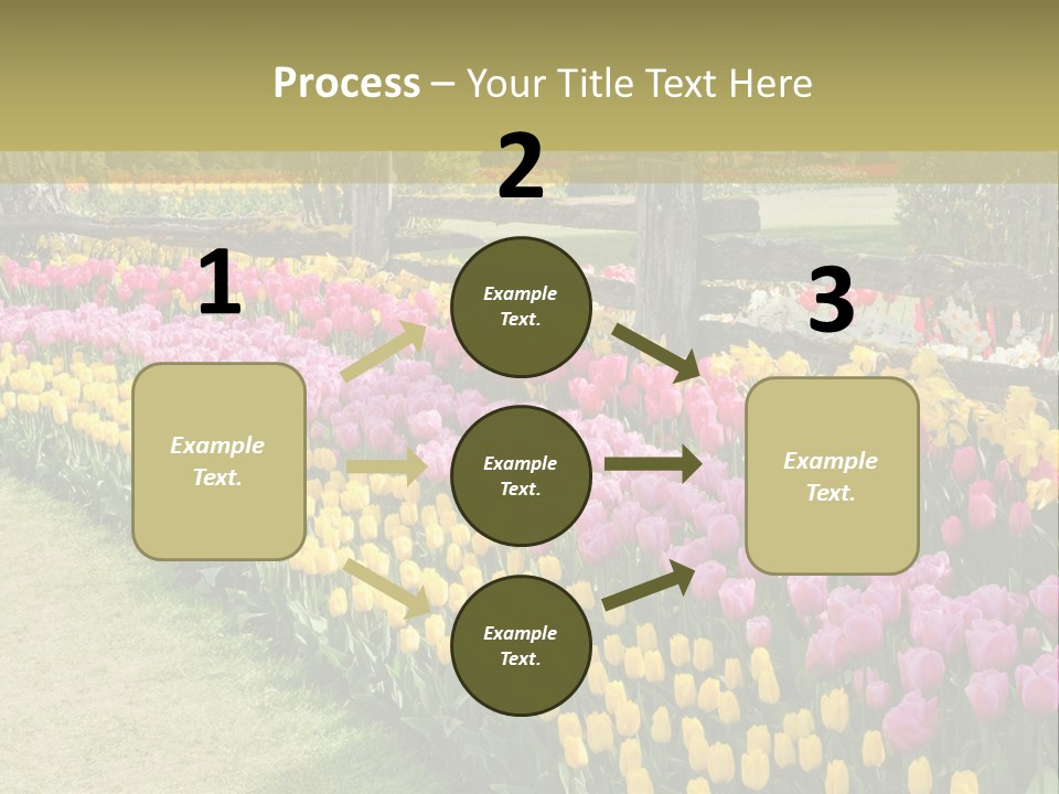 A Field Of Flowers With A Fence In The Background PowerPoint Template