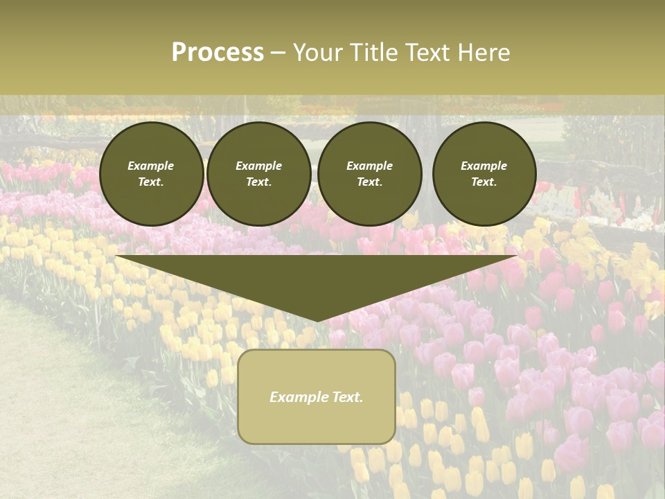 A Field Of Flowers With A Fence In The Background PowerPoint Template