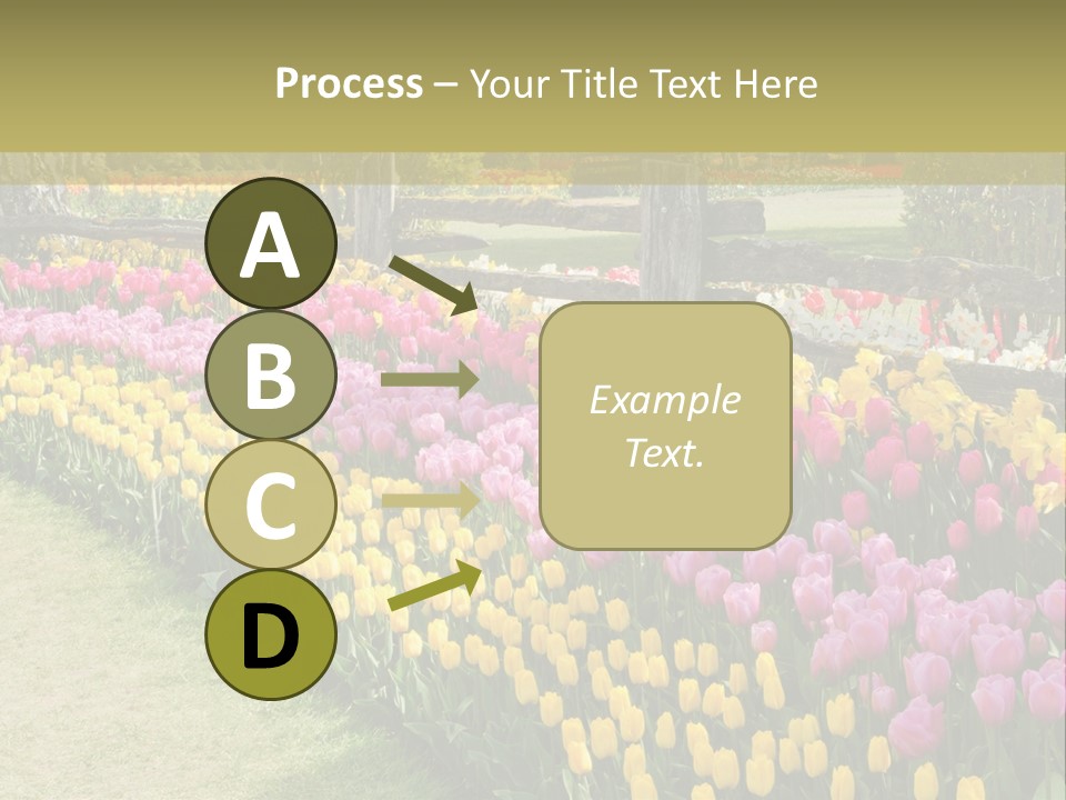 A Field Of Flowers With A Fence In The Background PowerPoint Template