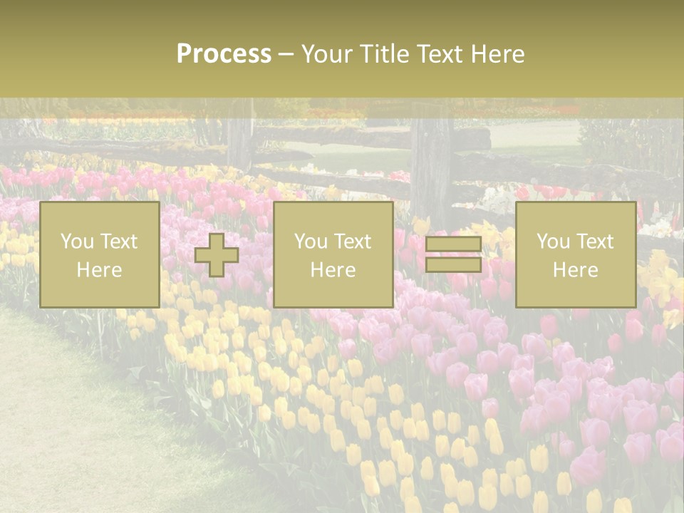 A Field Of Flowers With A Fence In The Background PowerPoint Template