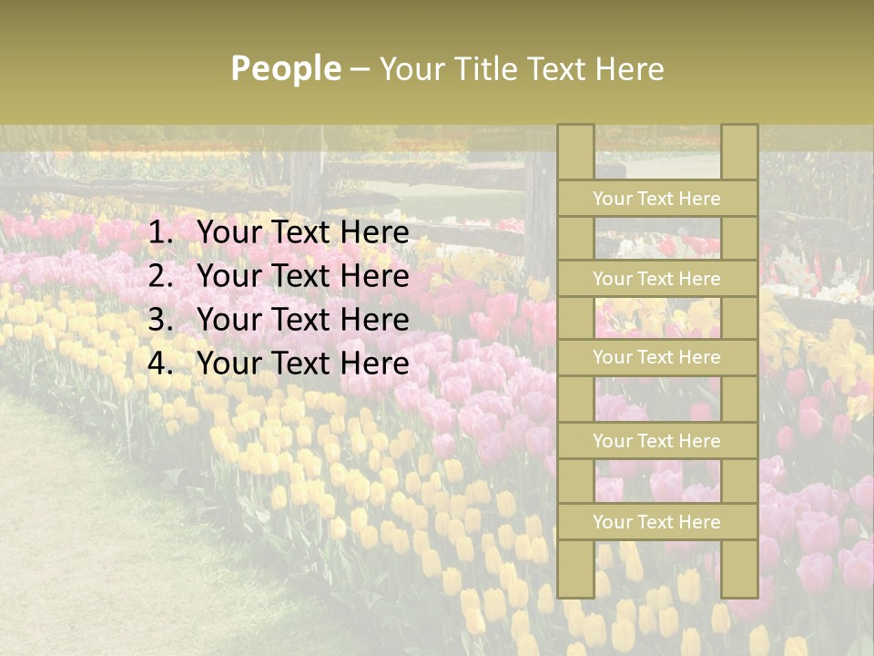 A Field Of Flowers With A Fence In The Background PowerPoint Template