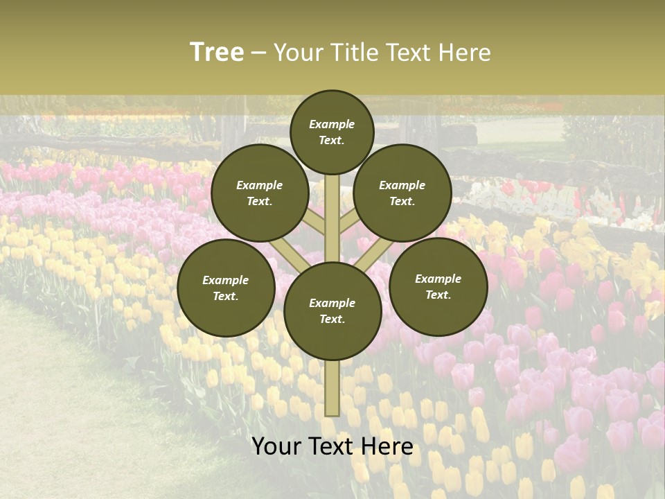 A Field Of Flowers With A Fence In The Background PowerPoint Template