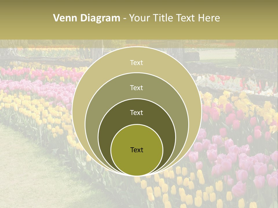 A Field Of Flowers With A Fence In The Background PowerPoint Template