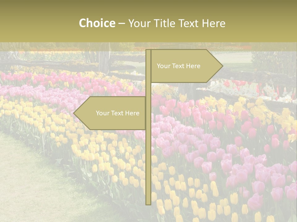 A Field Of Flowers With A Fence In The Background PowerPoint Template