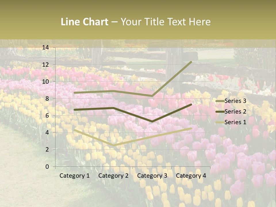 A Field Of Flowers With A Fence In The Background PowerPoint Template