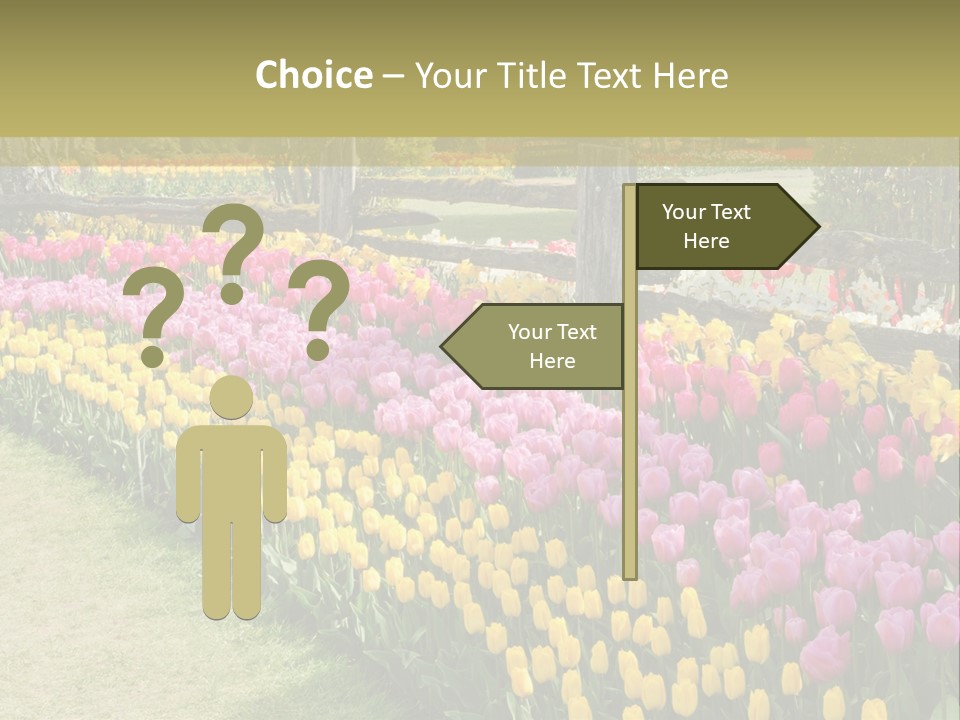 A Field Of Flowers With A Fence In The Background PowerPoint Template