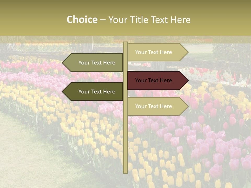 A Field Of Flowers With A Fence In The Background PowerPoint Template