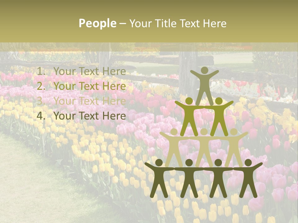 A Field Of Flowers With A Fence In The Background PowerPoint Template