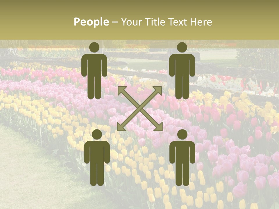 A Field Of Flowers With A Fence In The Background PowerPoint Template