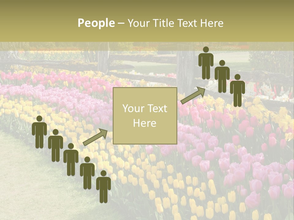 A Field Of Flowers With A Fence In The Background PowerPoint Template