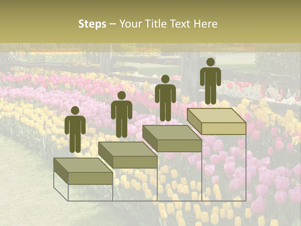 A Field Of Flowers With A Fence In The Background PowerPoint Template