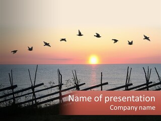 A Flock Of Birds Flying Over The Ocean At Sunset PowerPoint Template