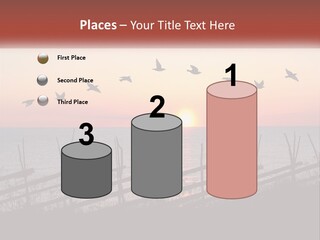 A Flock Of Birds Flying Over The Ocean At Sunset PowerPoint Template