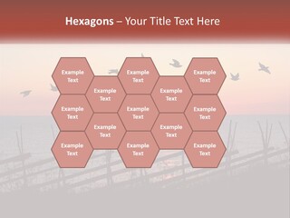 A Flock Of Birds Flying Over The Ocean At Sunset PowerPoint Template
