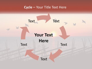 A Flock Of Birds Flying Over The Ocean At Sunset PowerPoint Template